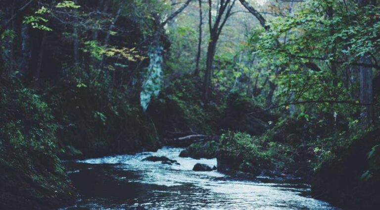 Free Wellness Classes Launch at Community Center