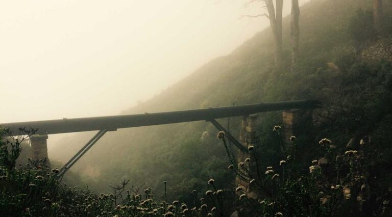 Senior Fitness Program Shows Remarkable Results