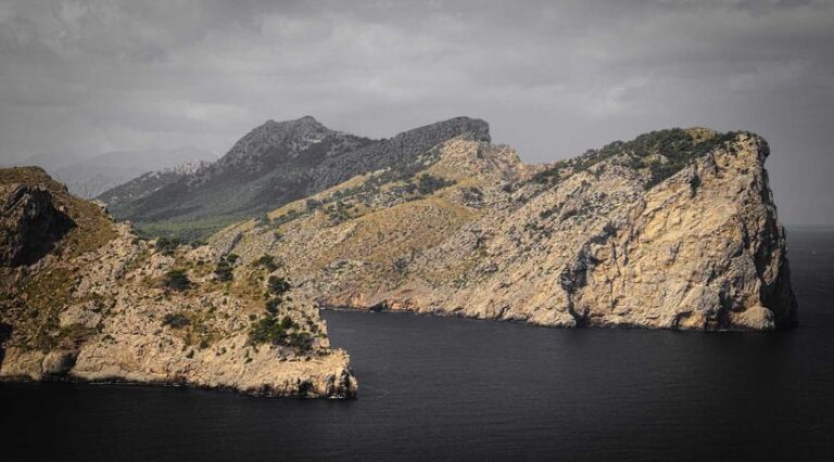 Community Book Drive Collects Over 5,000 Books