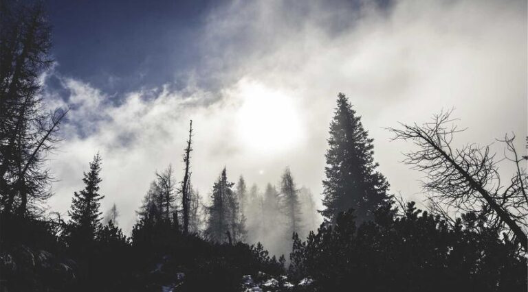 Healthy Cooking Classes Teach Budget-Friendly Meals