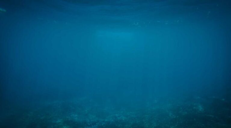 Photography Exhibit Showcases Community Stories