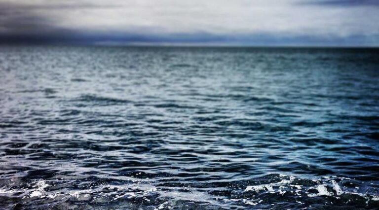 Literacy Workshops Serve Non-English Speakers