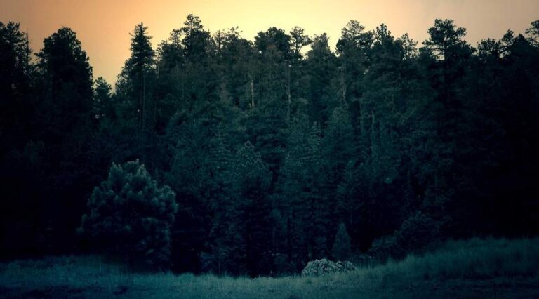 Youth Basketball League Tips Off Third Season