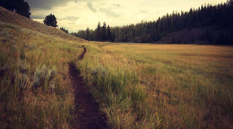 Meditation Garden Offers Peace in Urban Setting