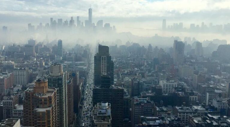 Gallery Opening Features Emerging Young Artists