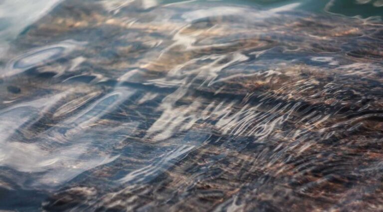 Nutrition Program Serves Fresh Lunches All Summer