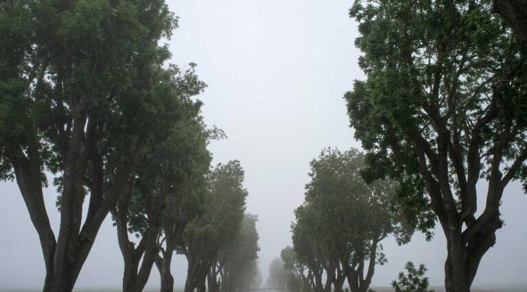 Creative Writing Workshop Produces Anthology