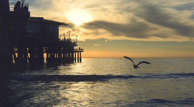 Historic Baldwin Buss Merino House Reopens as Part of Peg’s Expanded Campus